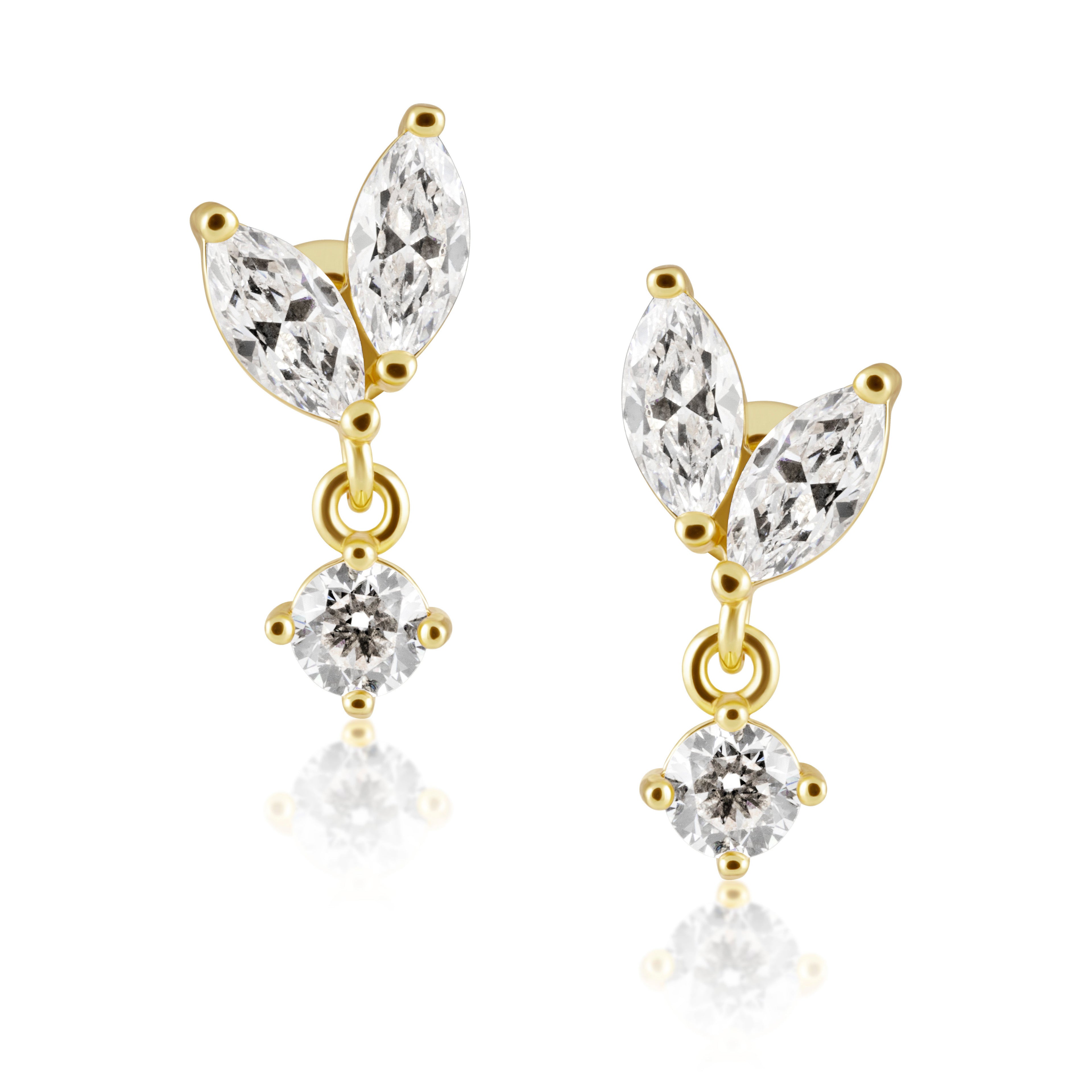 Bella Cz Stud