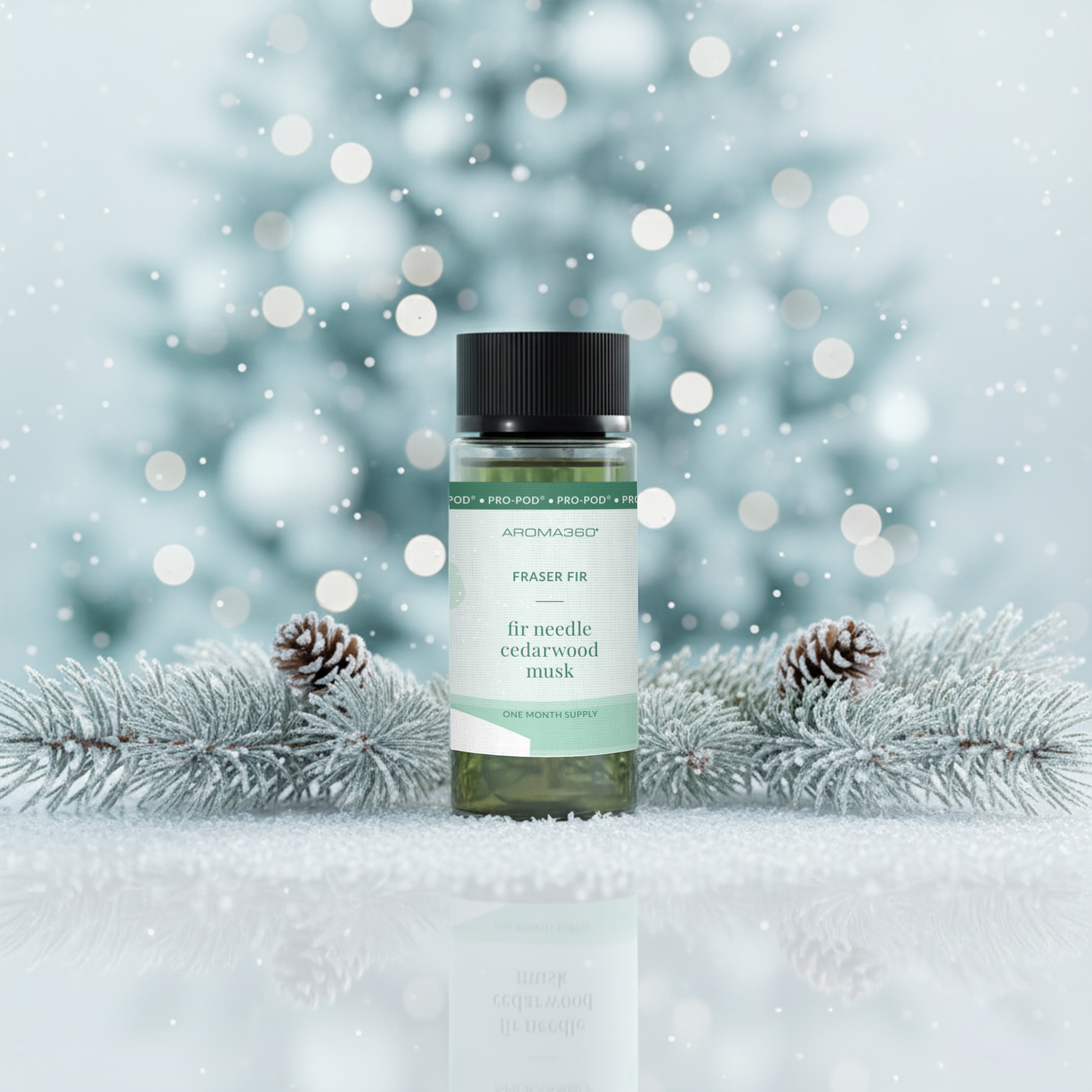 Fraser Fir
