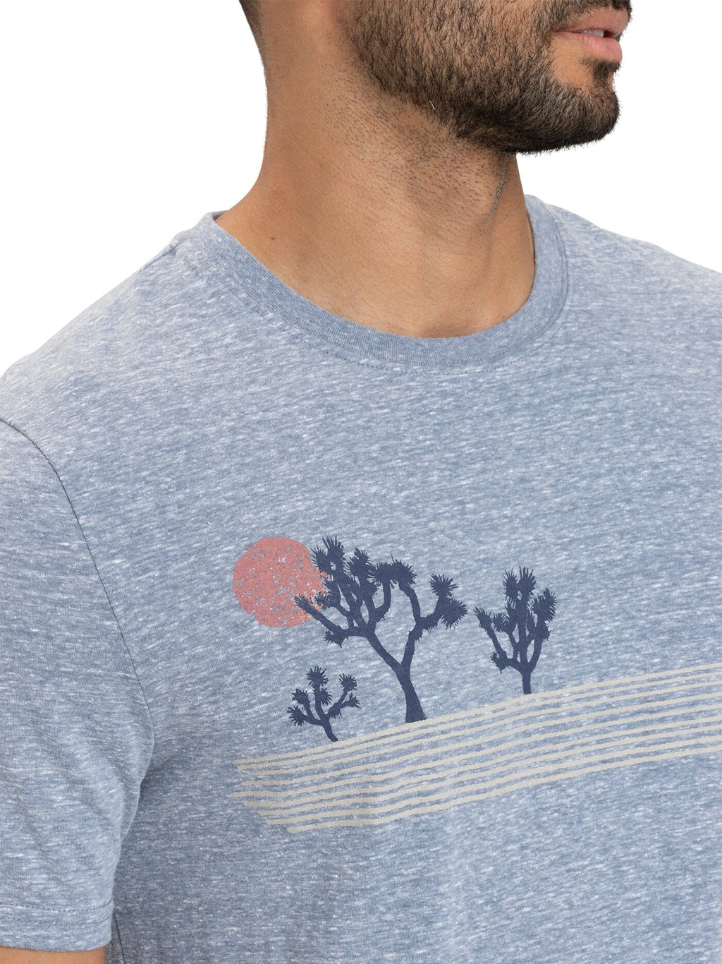 Triblend Graphic Tee