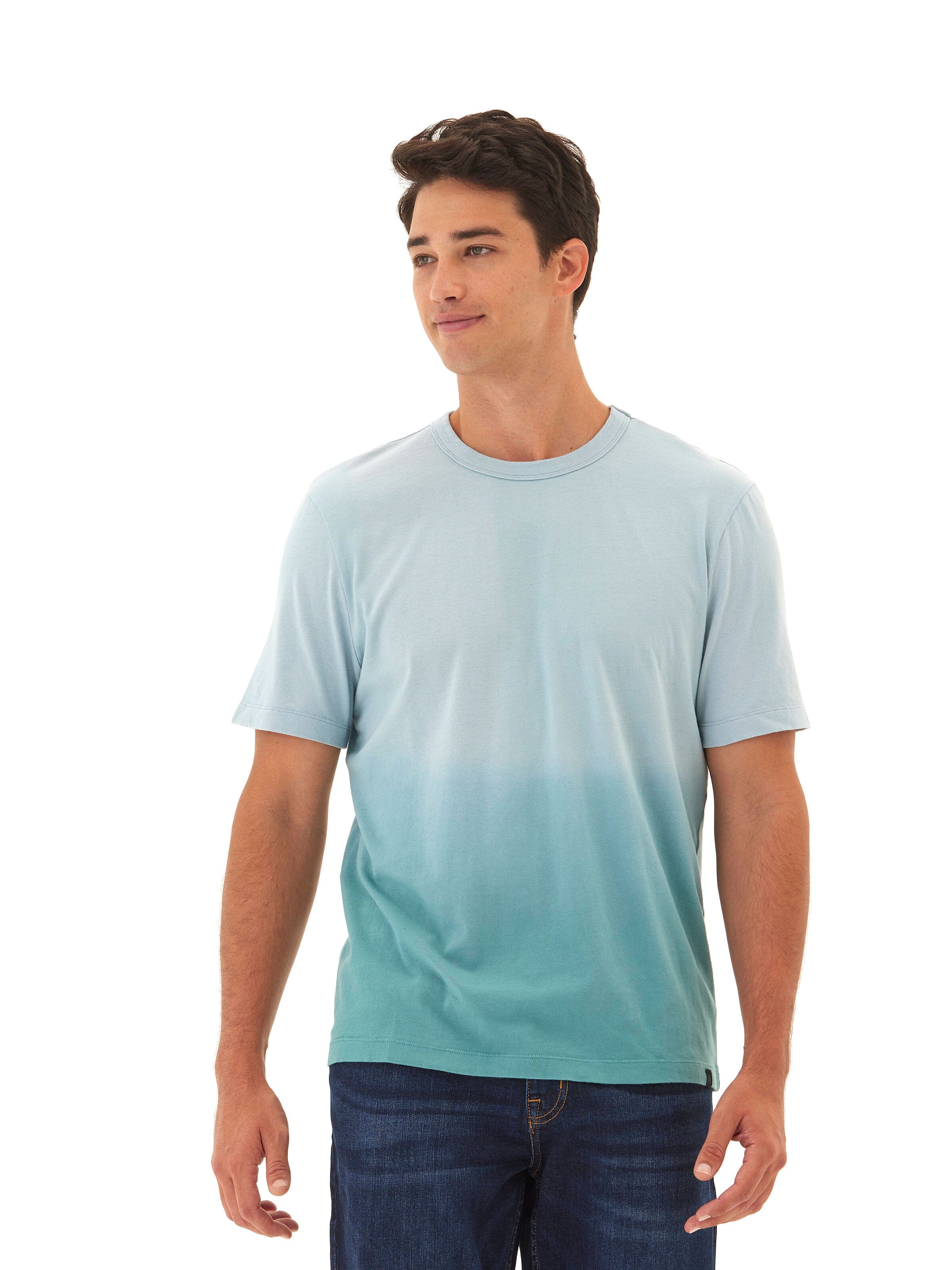 Bryce Dip Dye Classic Jersey Relaxed Crew Tee