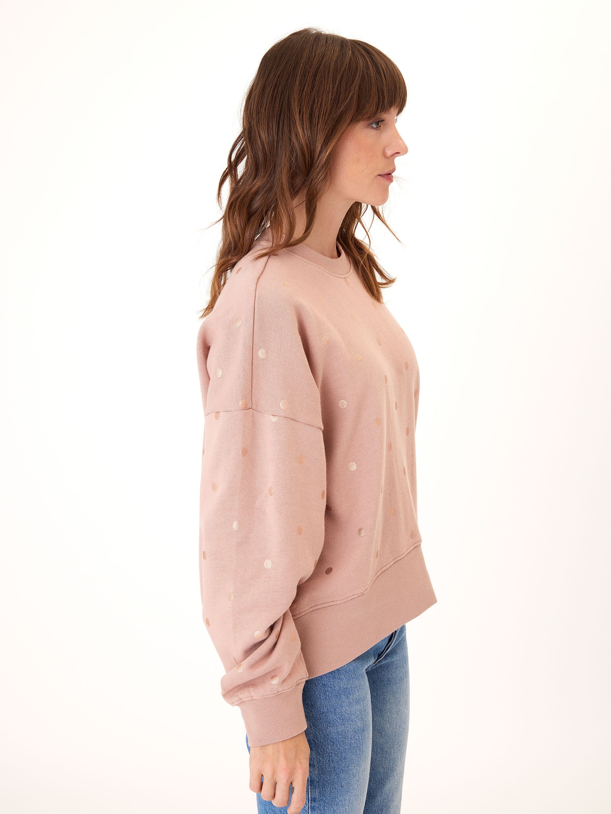 Naia Metallic Dot Pullover
