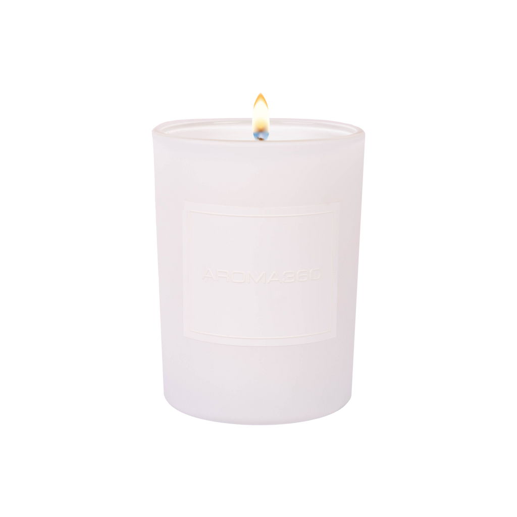 Midnight in Paris Single-Wick Candle